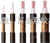 SYV23射频同轴电缆—铠装同轴电缆SYV23
