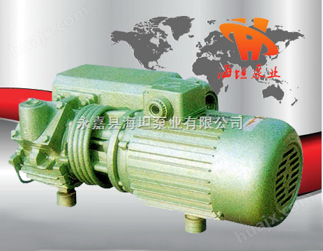 XD型单级旋片式真空泵，单级真空泵，旋片式真空泵，卧式真空泵